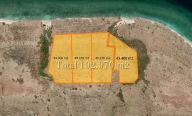 Tanah 19 Hektar Pinggir Pantai Puru Kambera Sumba NTT