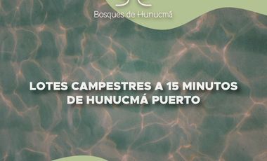 LOTES CAMPESTRES UBICADOS EN HUNUCMA