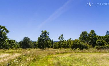Sitio en Venta en PUYEHUE