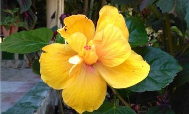 VENTA CASA EN  ALTOS DEL MARIA