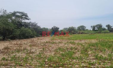 🌾 ¡Oportunidad Única para Inversionistas y Agricultores! 🌾

Descubre el potencial de este vasto terreno agrícola situado en el corazón de Pacora, La
