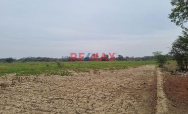 🌾 ¡Oportunidad Única para Inversionistas y Agricultores! 🌾

Descubre el potencial de este vasto terreno agrícola situado en el corazón de Pacora, La