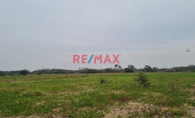 🌾 ¡Oportunidad Única para Inversionistas y Agricultores! 🌾

Descubre el potencial de este vasto terreno agrícola situado en el corazón de Pacora, La