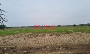 🌾 ¡Oportunidad Única para Inversionistas y Agricultores! 🌾

Descubre el potencial de este vasto terreno agrícola situado en el corazón de Pacora, La