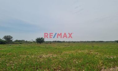 🌾 ¡Oportunidad Única para Inversionistas y Agricultores! 🌾

Descubre el potencial de este vasto terreno agrícola situado en el corazón de Pacora, La