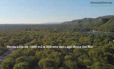 Hermoso Lote de 1000 m a 300 mts del Lago Boca del Río, Las Tapias, Traslasierra
