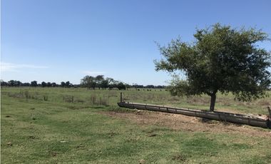 MUY BUENA FRACCIÓN AGRICOLA GANADERA