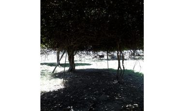 MUY BUENA FRACCIÓN AGRICOLA GANADERA