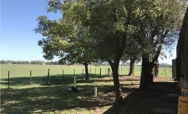 MUY BUENA FRACCIÓN AGRICOLA GANADERA