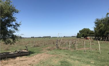 MUY BUENA FRACCIÓN AGRICOLA GANADERA