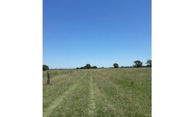 MUY BUENA FRACCIÓN AGRICOLA GANADERA