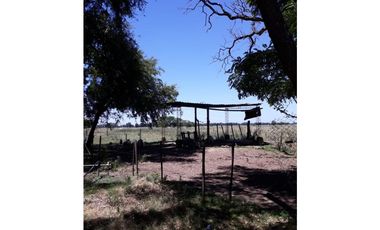 MUY BUENA FRACCIÓN AGRICOLA GANADERA