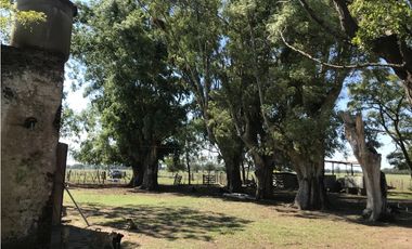 MUY BUENA FRACCIÓN AGRICOLA GANADERA