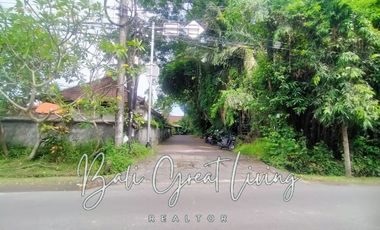 Tanah 3662 di Lingkungan Villa Dekat Pantai Pererenan View Sawah