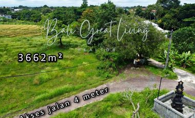 Tanah 3662 di Lingkungan Villa Dekat Pantai Pererenan View Sawah