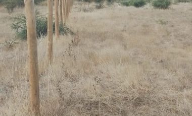 Parcela de Agradado a orilla de Camino Pavimentado