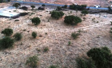 Parcela de Agradado a orilla de Camino Pavimentado