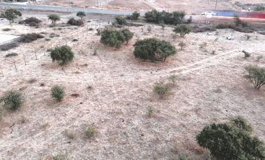 Parcela de Agradado a orilla de Camino Pavimentado