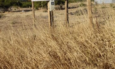 Parcela de Agradado a orilla de Camino Pavimentado