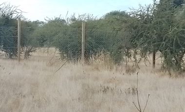 Parcela de Agradado a orilla de Camino Pavimentado