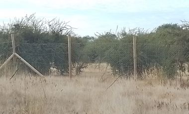 Parcela de Agradado a orilla de Camino Pavimentado