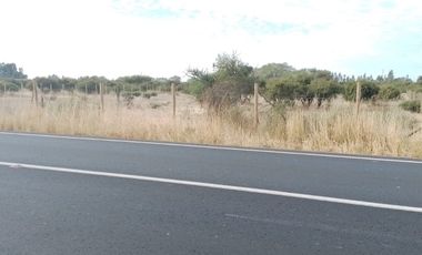 Parcela de Agradado a orilla de Camino Pavimentado