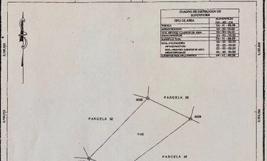 PREDIOS EN VENTA  EJIDO LABOR DE DOLORES  ZONA EN DESARROLLO HABITACIONAL $500