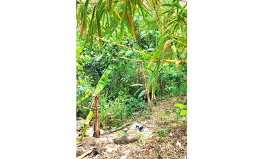 Tarapoto - Terreno en Venta - 1,137 m2 - Dist. La Banda de Shilcayo