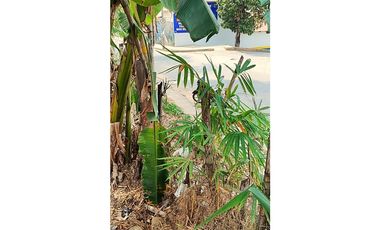 Tarapoto - Terreno en Venta - 1,137 m2 - Dist. La Banda de Shilcayo