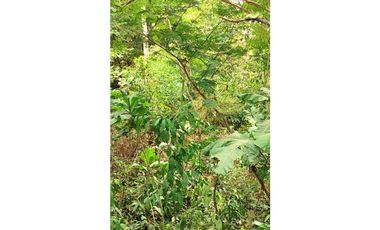 Tarapoto - Terreno en Venta - 1,137 m2 - Dist. La Banda de Shilcayo