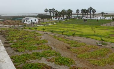 Terrenos Balneario Venta Albufera Medio Mundo - Playa Los Viños - HUAURA