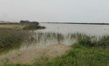 Terrenos Balneario Venta Albufera Medio Mundo - Playa Los Viños - HUAURA