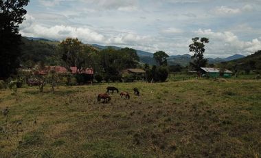 casalote en venta en chinacota. Cod V28086