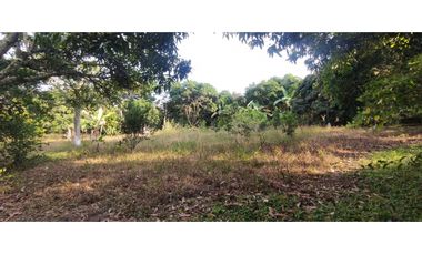 Se vende lote semiurbano de 3200 M2 en 400 mill neg, en La Mesa Cund