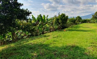 lote en venta en montelargo. Cod V18326