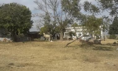 Vendo 2 hectáreas de campo