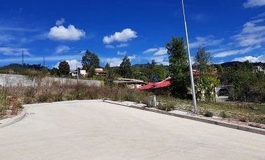 URB LOS CAPULIES