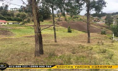 Terreno de venta en Monay Baguanchi - Monay Chico – código:15167