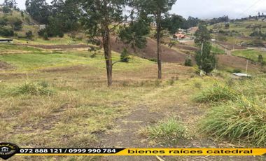 Terreno de venta en Monay Baguanchi - Monay Chico – código:15167