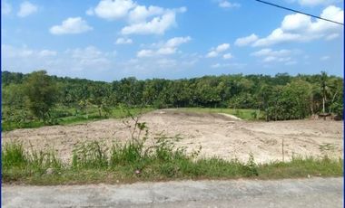 Tanah dekat Kampus UNY Wates, SHM Pekarangan Cuma 100 Jt-an