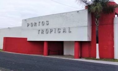 Local en renta con terreno recta a Cholula 3,280 m2 (Portos Tropical), Puebla