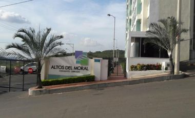 apartamento en arriendo/venta en c.c altos del moral. Cod A2112