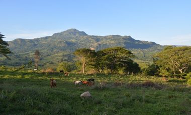 VENTA LOTE JERICO, SUROESTE ANTIOQUEÑO.
