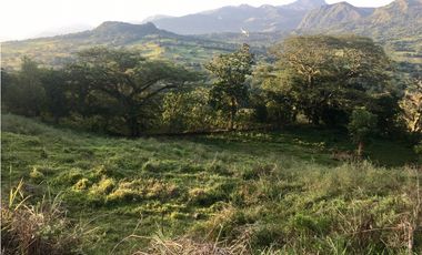 VENTA LOTE JERICO, SUROESTE ANTIOQUEÑO.