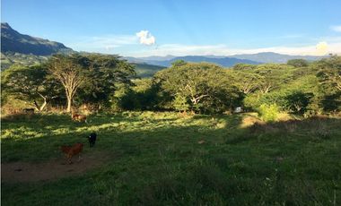 VENTA LOTE JERICO, SUROESTE ANTIOQUEÑO.