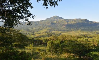 VENTA LOTE JERICO, SUROESTE ANTIOQUEÑO.