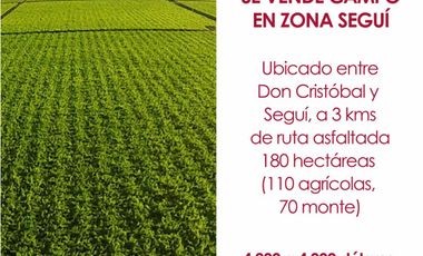 Terreno en venta en Seguí, Paraná