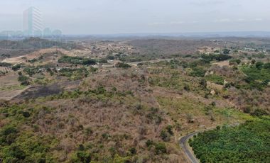 VENTA DE TERRENO  SOBRE LA VIA  A LA COSTA KM  43.5 IDEAL INVERSIONISTA