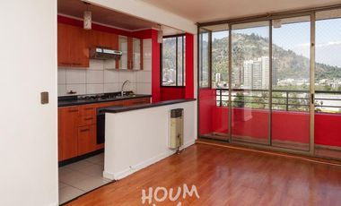 Departamento Anibal pinto oriente ID: 116886r