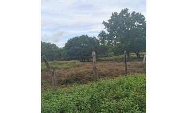 VENDO FINCA DE 73 HECTAREAS CON EQUIPOS DE LECHERIA SAN JUAN